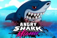 Ciesz się kolejną niesamowitą wersją legendarnego Angry Shark!