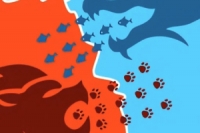 Conquer Us to strategiczna gra online w formie łamigłówki