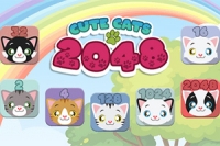 2048 z kotami