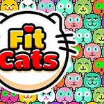 Kolorowy wzór z wieloma uśmiechniętymi i różnokolorowymi twarzami kotów oraz tekstem Fit Cats w centralnej części