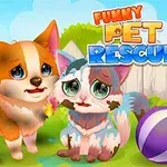 Dwa smutne, zabrudzone zwierzątka, pies i kot, stojące na trawie przed białym płotem z kolorową piłką obok, w tle napis Funny Pet Rescue