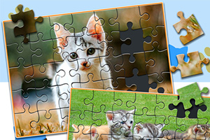 Puzzle z obrazkiem kota, częściowo ułożone, z widocznymi brakującymi kawałkami
