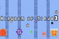 Witaj z 3 serii gry Kingdom of Ninja