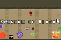 Kingdom Of Ninja 4 to czwarta część serii Kingdom of Ninja
