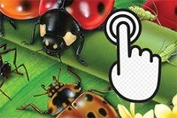 Sprawdź swoją zręczność!