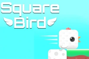 Napis Square Bird z grafiką kwadratowego ptaka na tle jasnoniebieskiego nieba