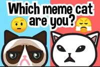Znajdź swojego memowego kota: Quiz z emotikonami