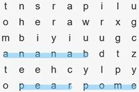 Word Search - Gra Słowna HTML5